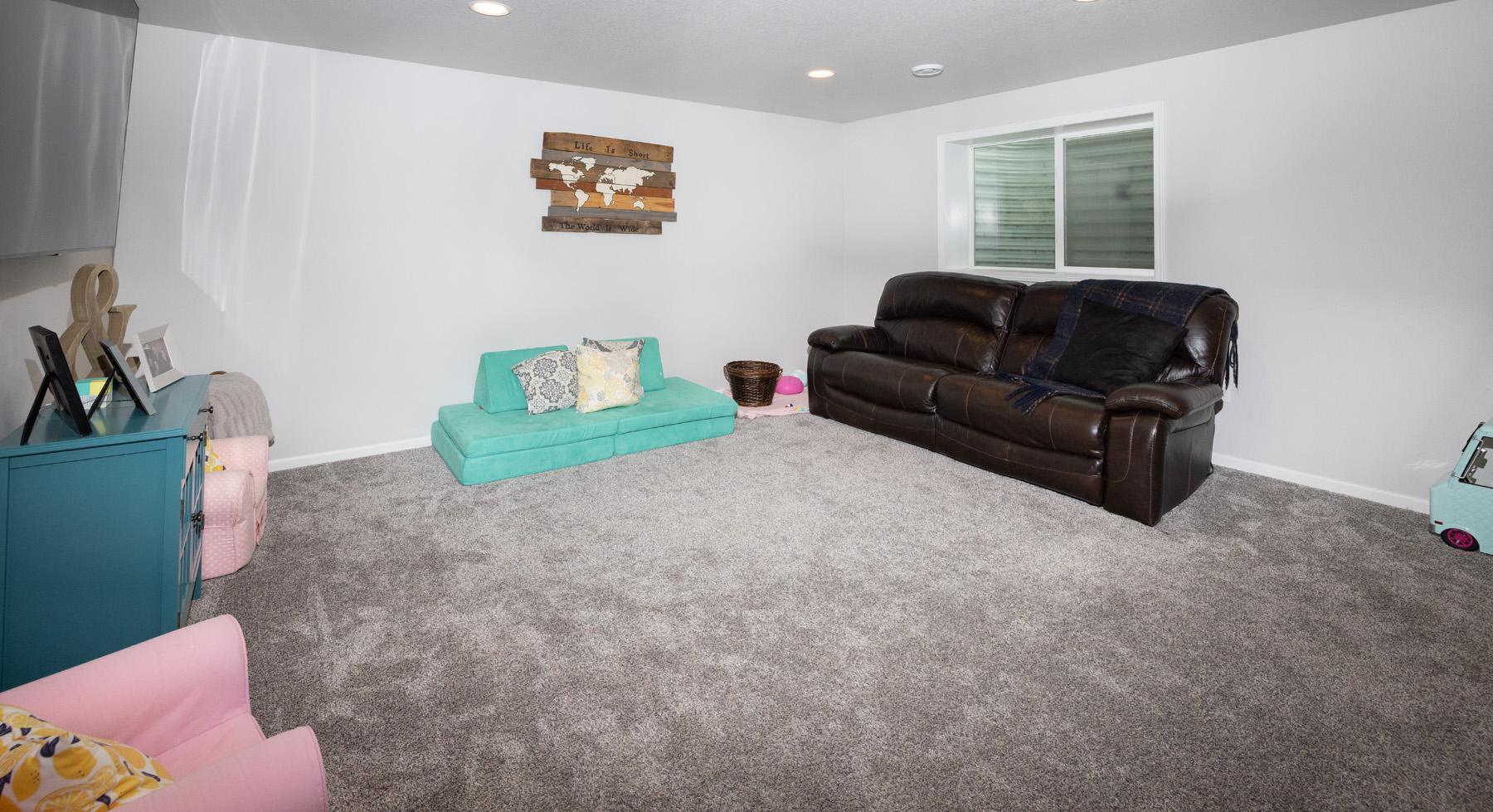 Basement Family Room