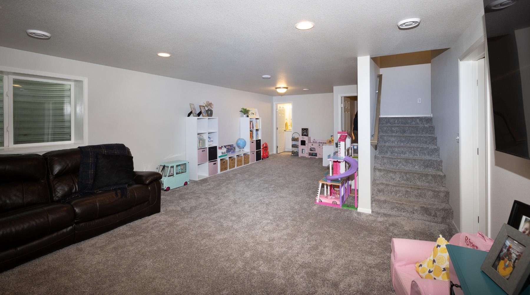 Basement Family Room