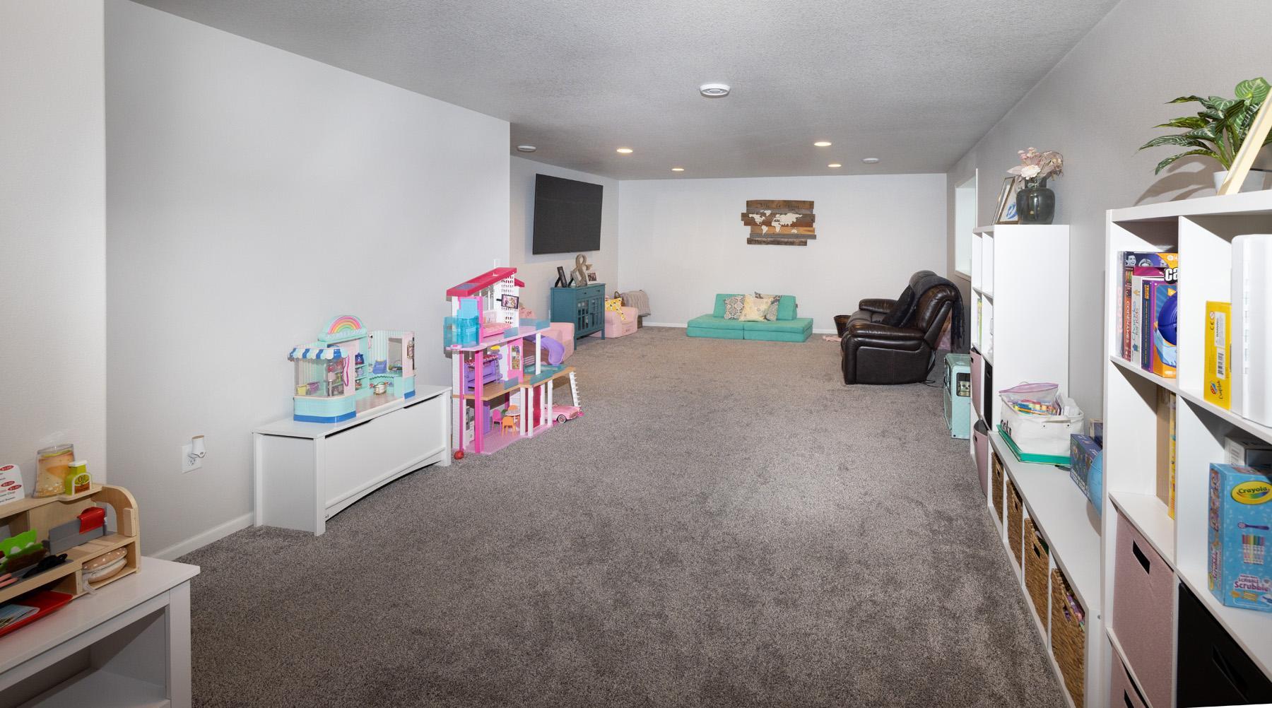 Basement Family Roon