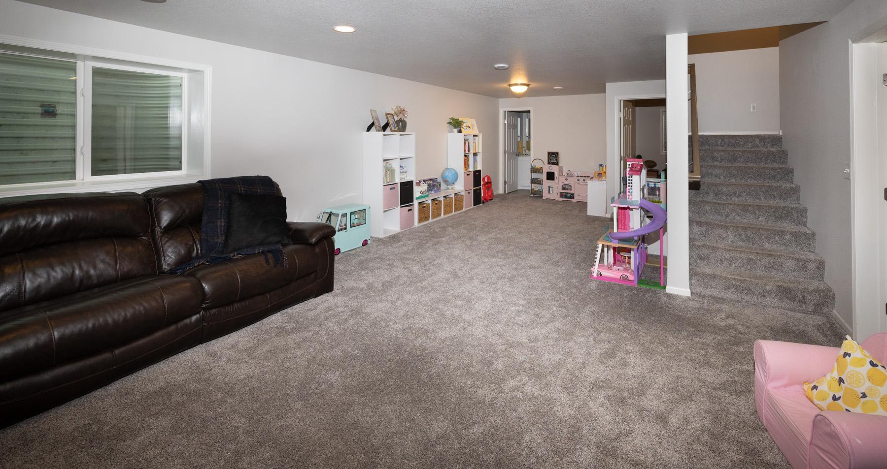 Basement Family Room