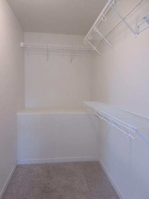 Primary Walk In Closet