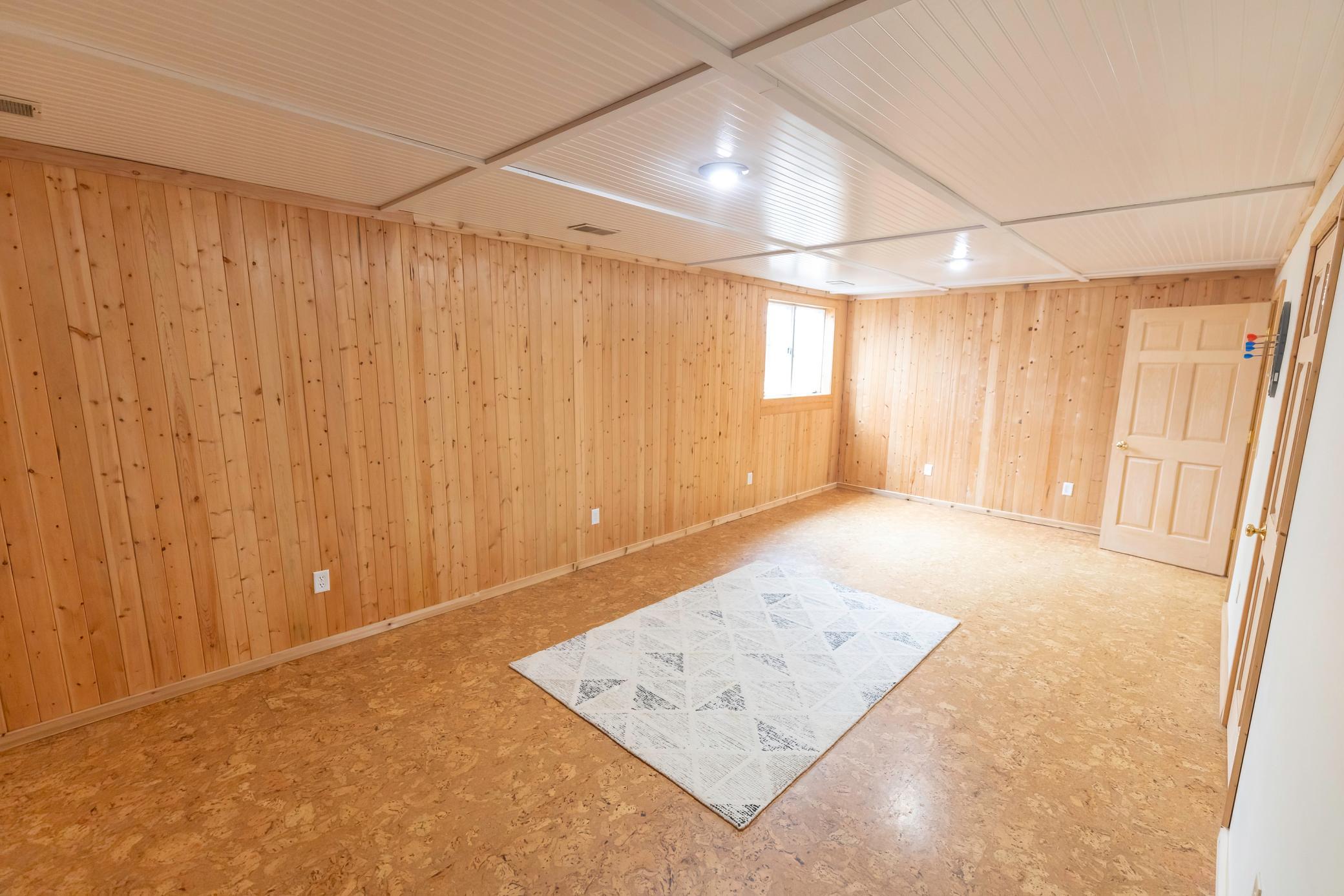 Lower level bedroom with large closet