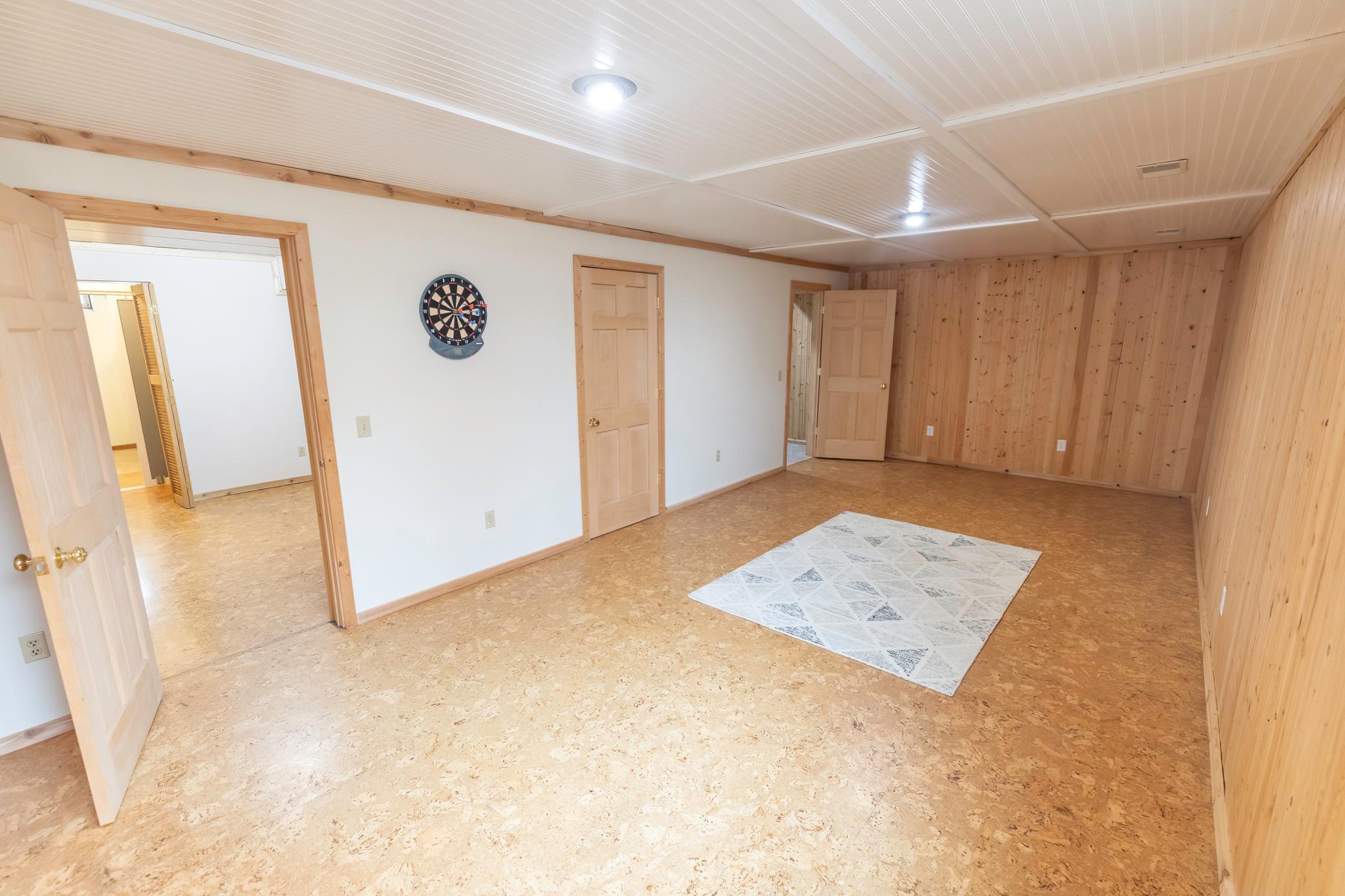 Lower level bedroom with large closet