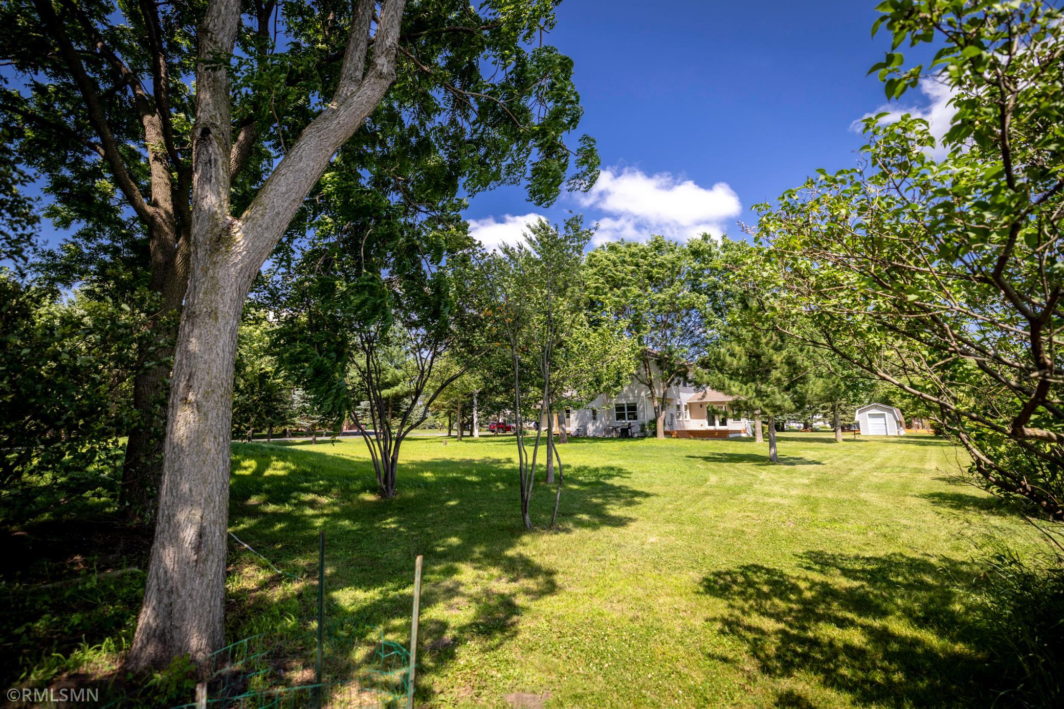 Tons of backyard space