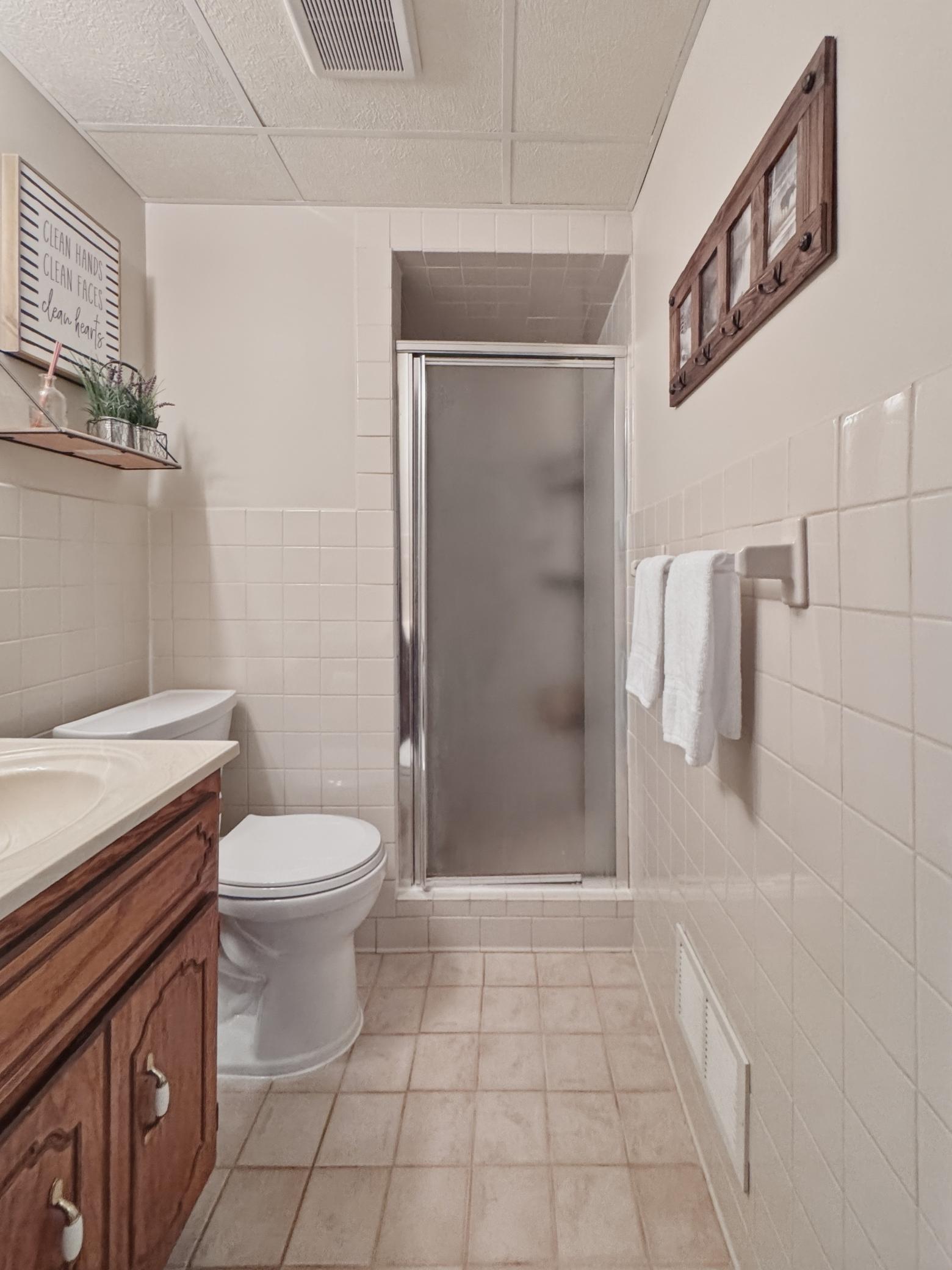 Lower level bathroom