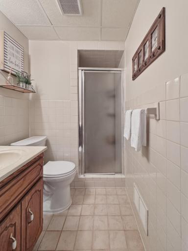 Lower level bathroom