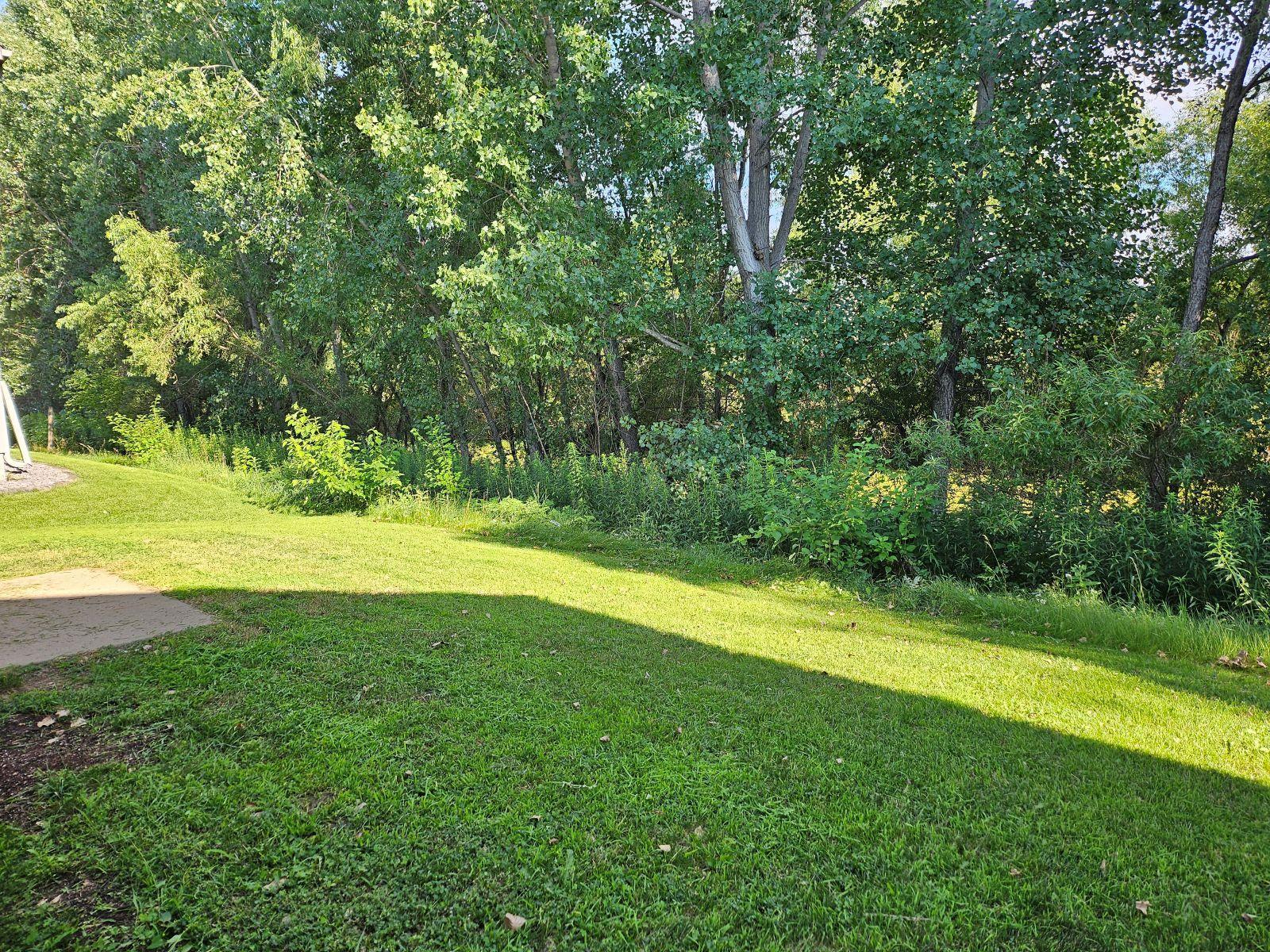 Picture25.jpg