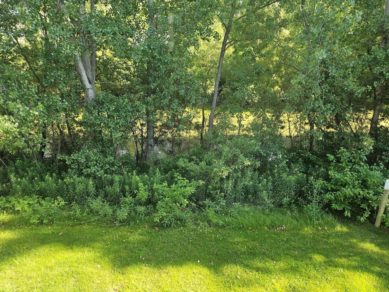 Picture23.jpg