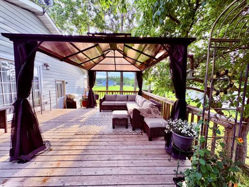 Back yard oasis