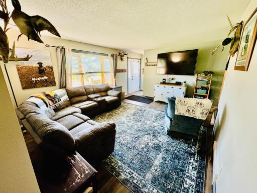 Living room- front door