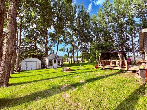 Back yard
