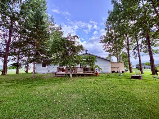 Back yard
