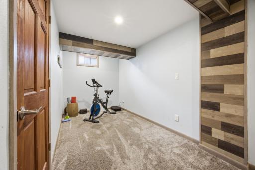 Lower Level workout/office space
