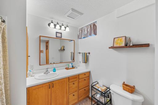 Lower Level Bathroom