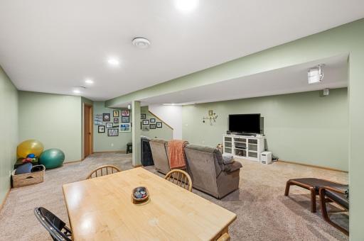 Lower Level Family Room
