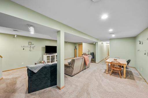 Lower Level Family Room