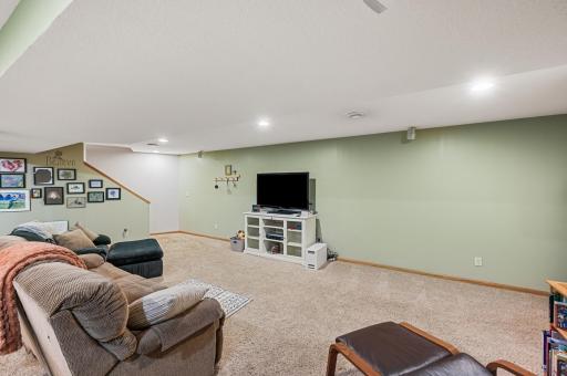 Lower Level Family Room