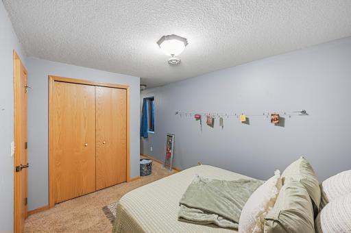 Lower Level Bedroom