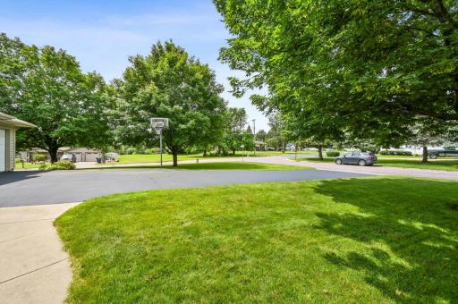 Front Yard/Driveway