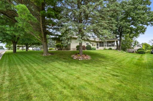 Side/Back Yard
