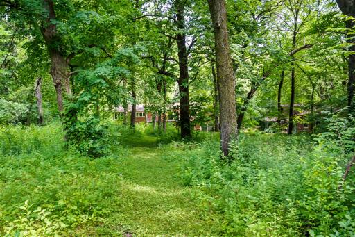 Multiple paths leading to back of the property for meandering, cross country skiing, and nature viewing