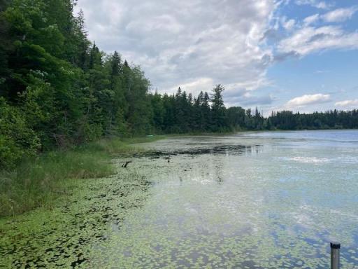 11919 Luna Lake Road, Side Lake, MN 55781