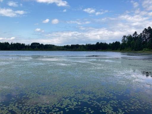 11919 Luna Lake Road, Side Lake, MN 55781