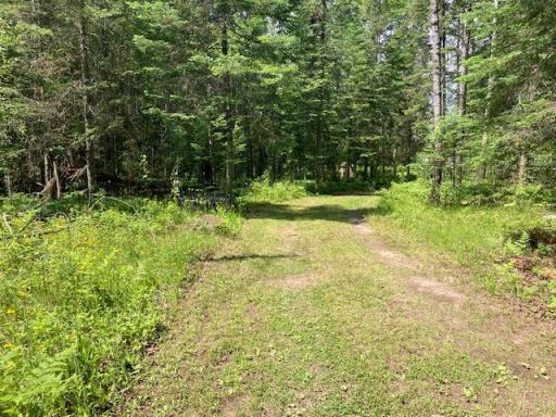11919 Luna Lake Road, Side Lake, MN 55781