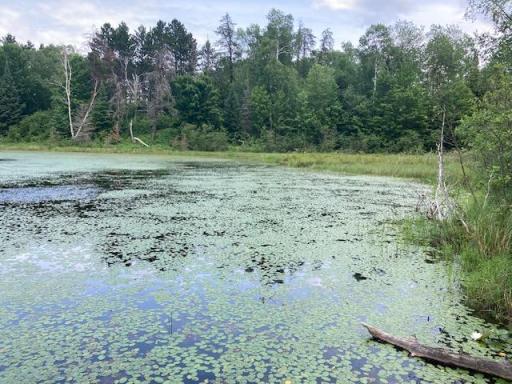 11919 Luna Lake Road, Side Lake, MN 55781