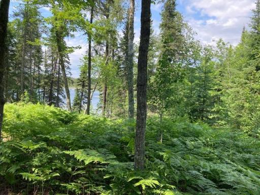 11919 Luna Lake Road, Side Lake, MN 55781