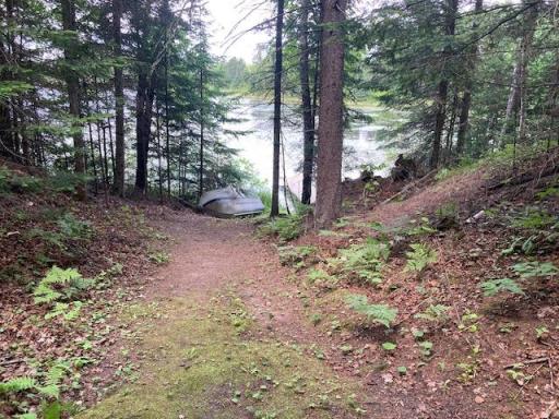 Towner - end of trial to lake - pic 16.JPG