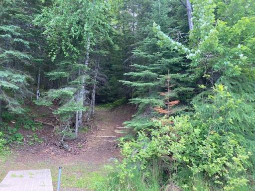 11919 Luna Lake Road, Side Lake, MN 55781