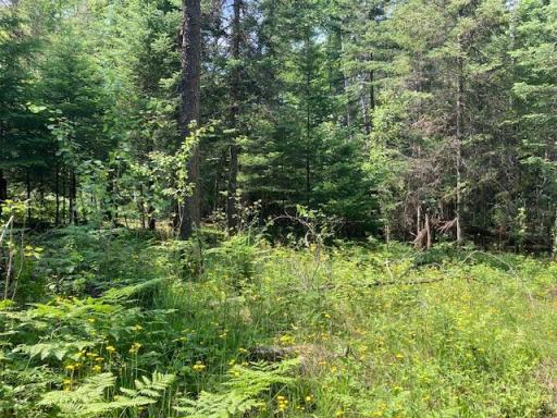 11919 Luna Lake Road, Side Lake, MN 55781