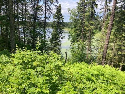 11919 Luna Lake Road, Side Lake, MN 55781