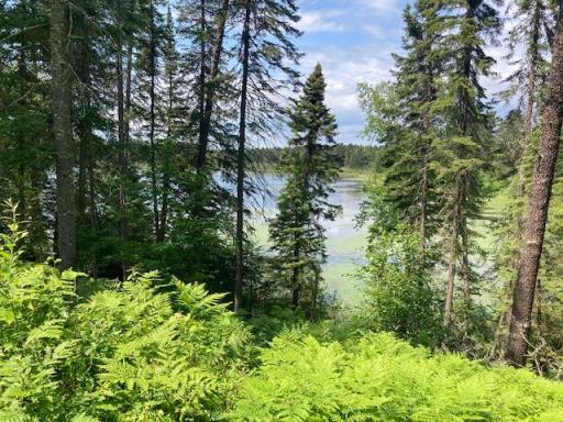 11919 Luna Lake Road, Side Lake, MN 55781
