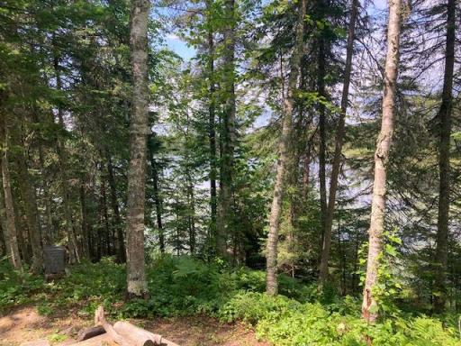 11919 Luna Lake Road, Side Lake, MN 55781