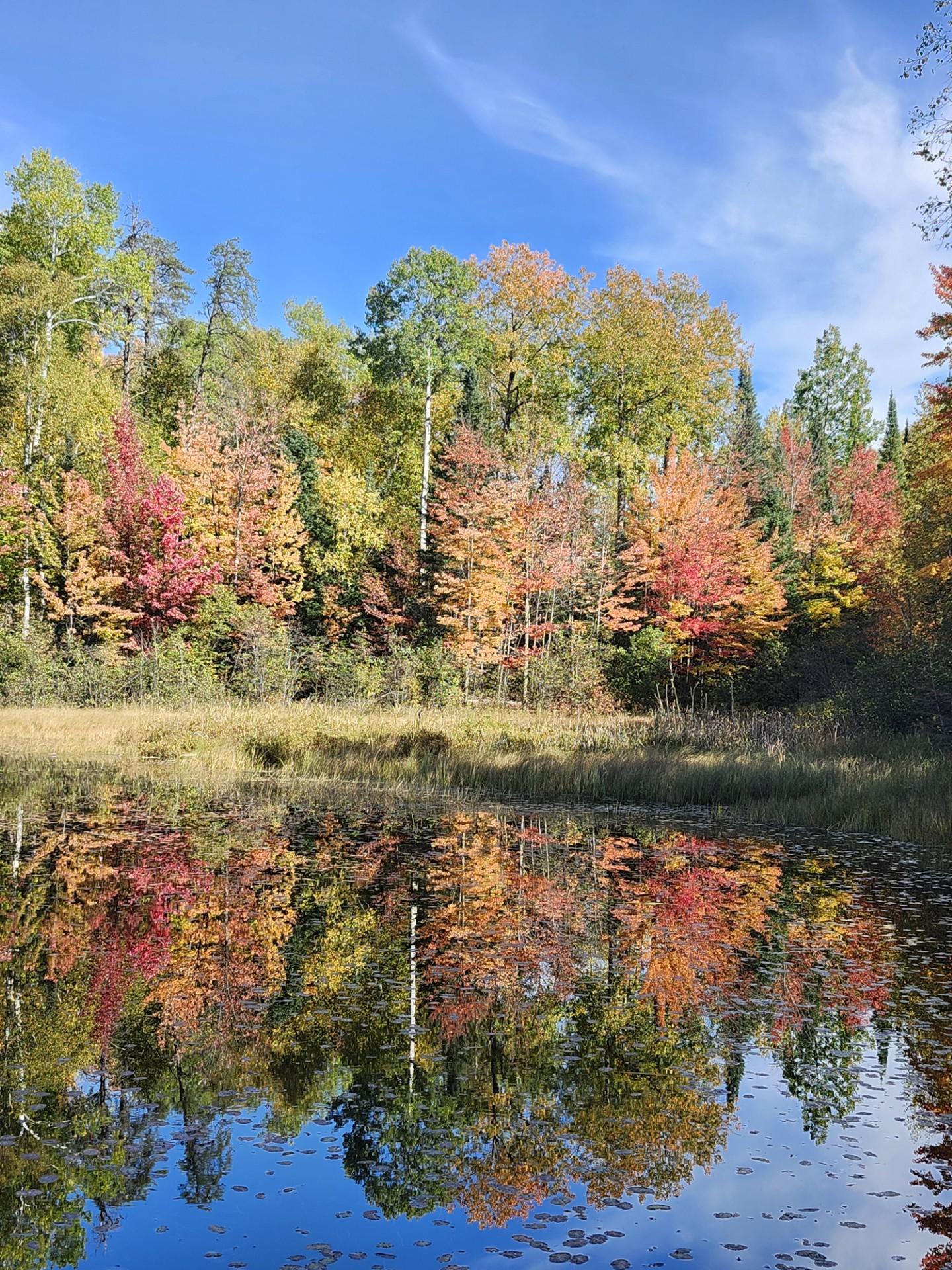 Towner - as seller - Fall pic.jpeg