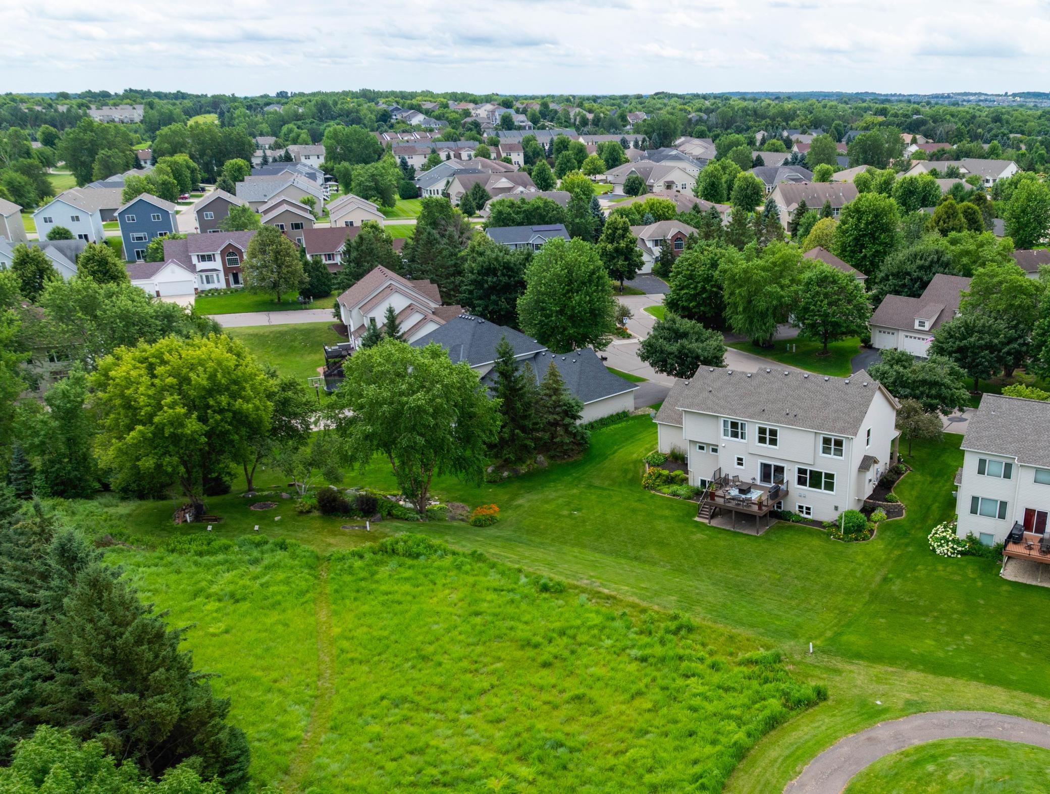 Aerial view of the backyard.jpg
