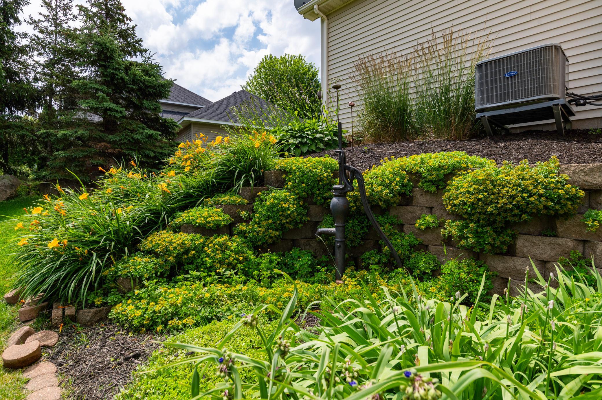 Beautiful and low maintenance landscaping.jpg