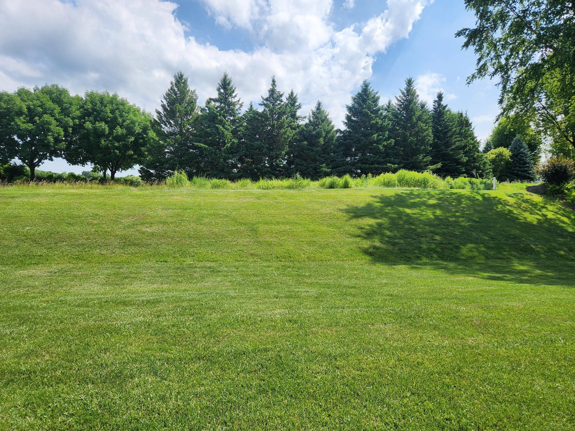 Private backyard