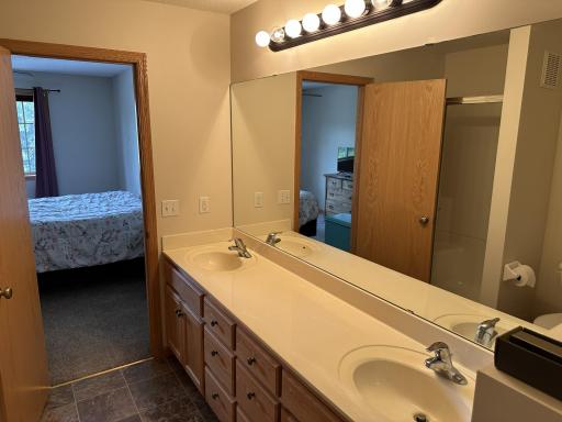 Owner's bathroom with double sinks, shower and separate soaking tub