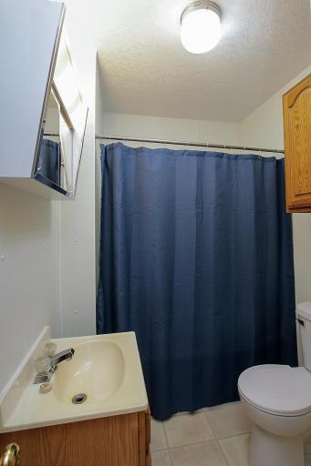 The lower level offers a full bathroom with a newer toilet.