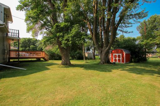 The backyard offers areas of shade and sun - the perfect combo!