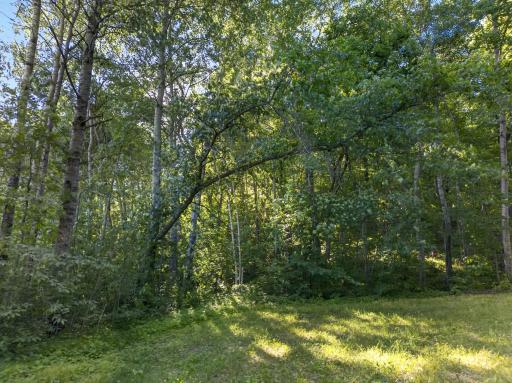 TBD Hickory Lane, Garrison, MN 56450