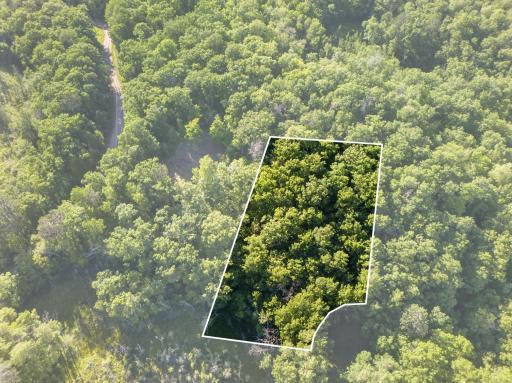 TBD Hickory Lane, Garrison, MN 56450