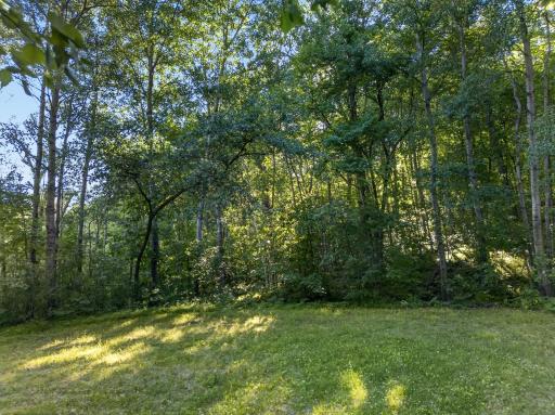 TBD Hickory Lane, Garrison, MN 56450