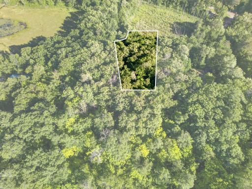 TBD Hickory Lane, Garrison, MN 56450