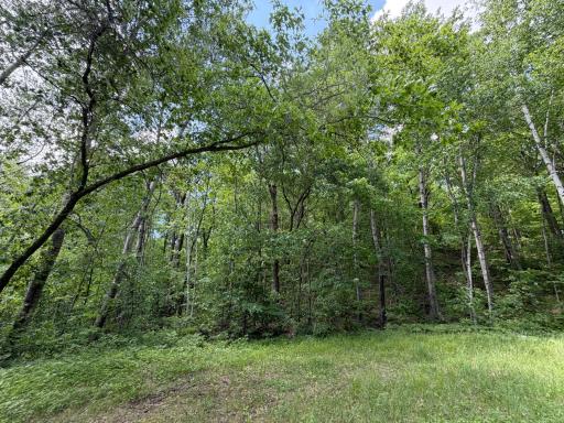TBD Hickory Lane, Garrison, MN 56450