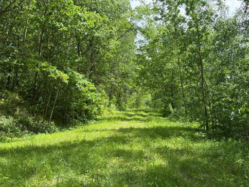 TBD Hickory Lane, Garrison, MN 56450