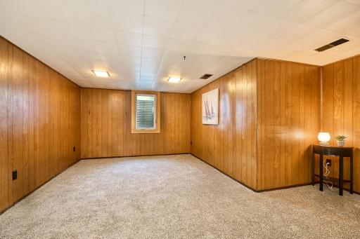 Versatile lower-level room perfect as a bedroom or family room, featuring an egress window for safety and natural light.